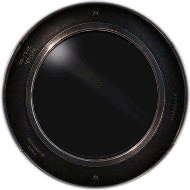 CAP PT Spotlight